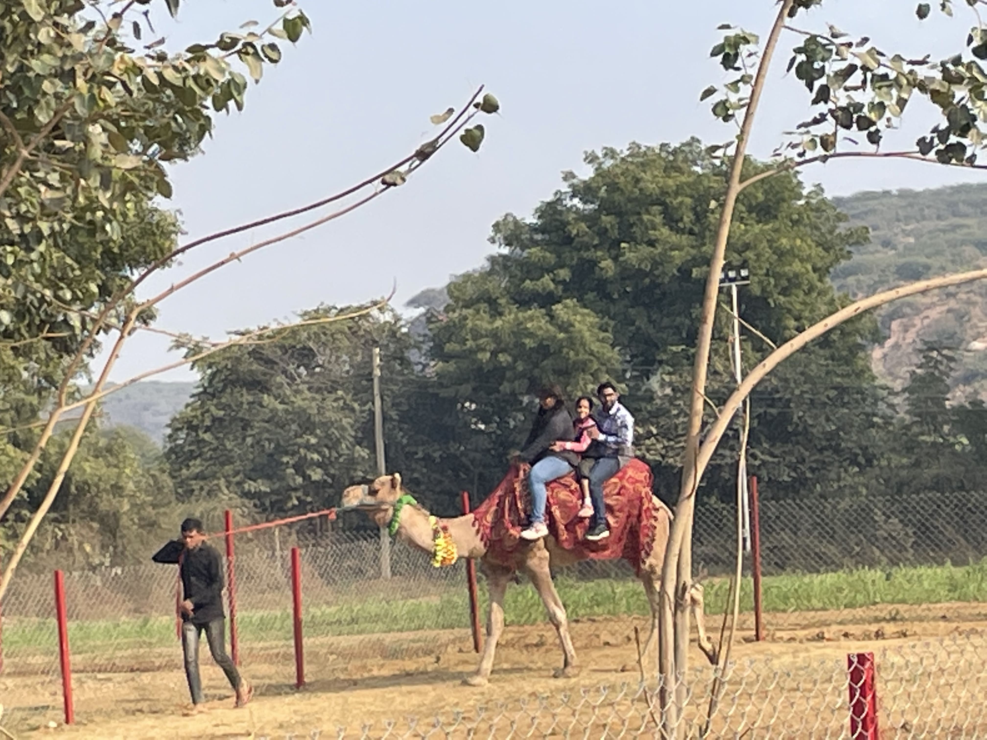Celebrations at Neuro Care